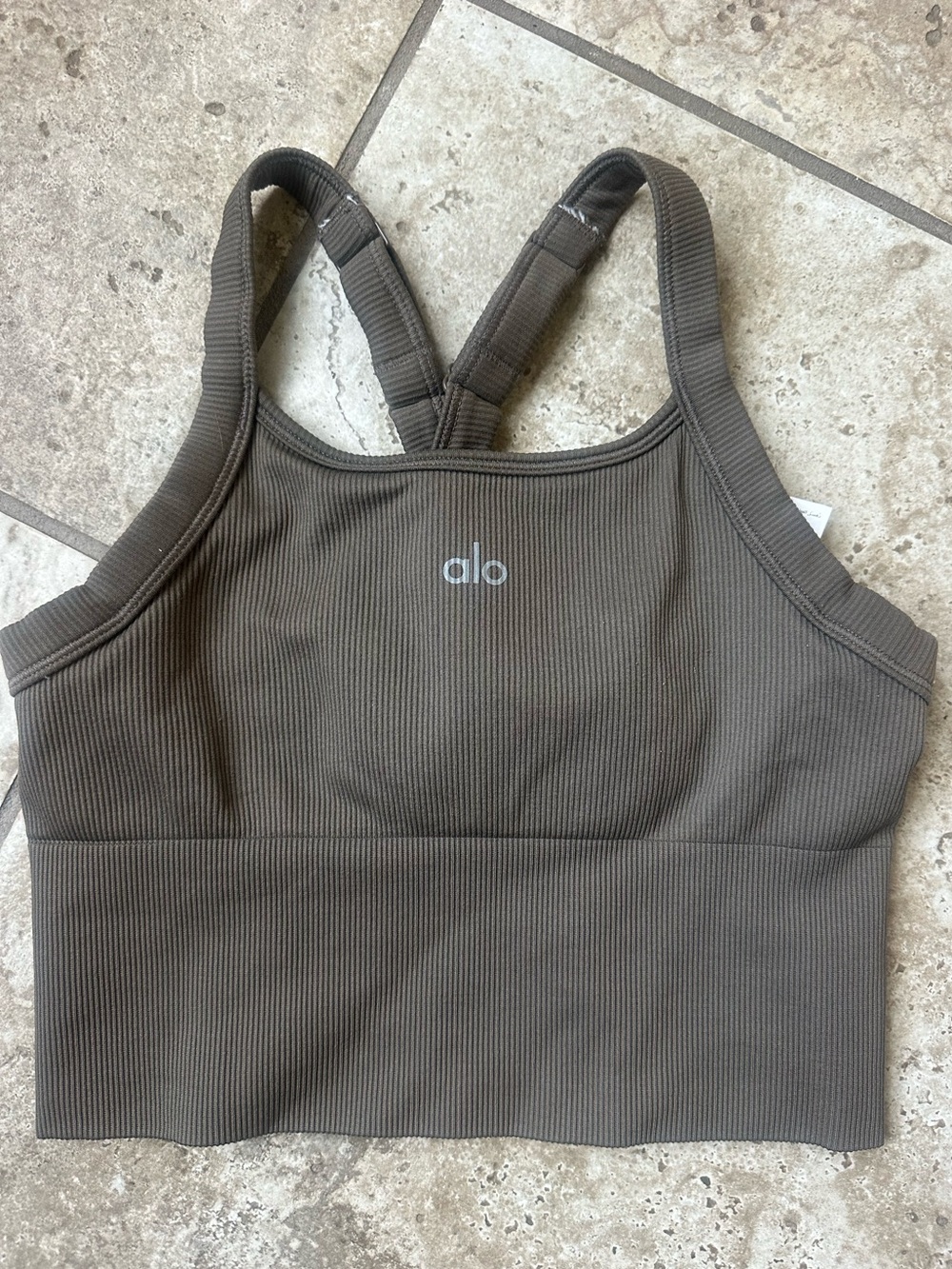 ALO Yoga Ribbed Sports Bra